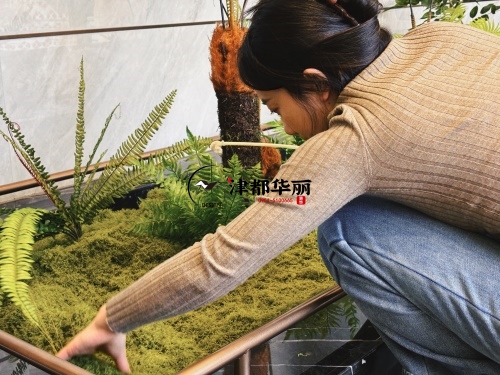 青铜峡售楼部装修设计项目|镹臻设计